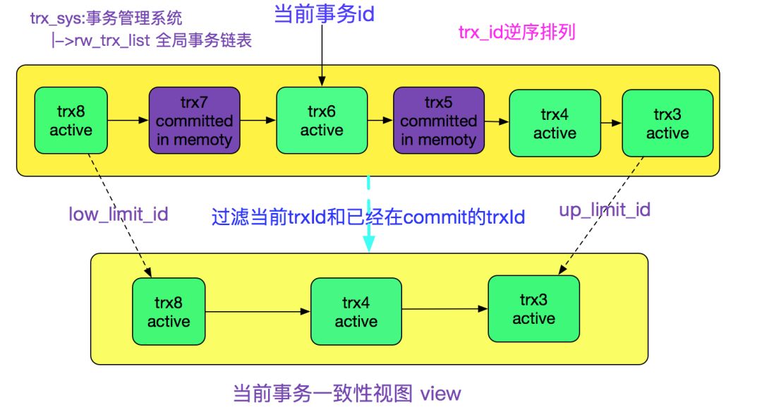 ZW最新版本的功能特点与优势分析