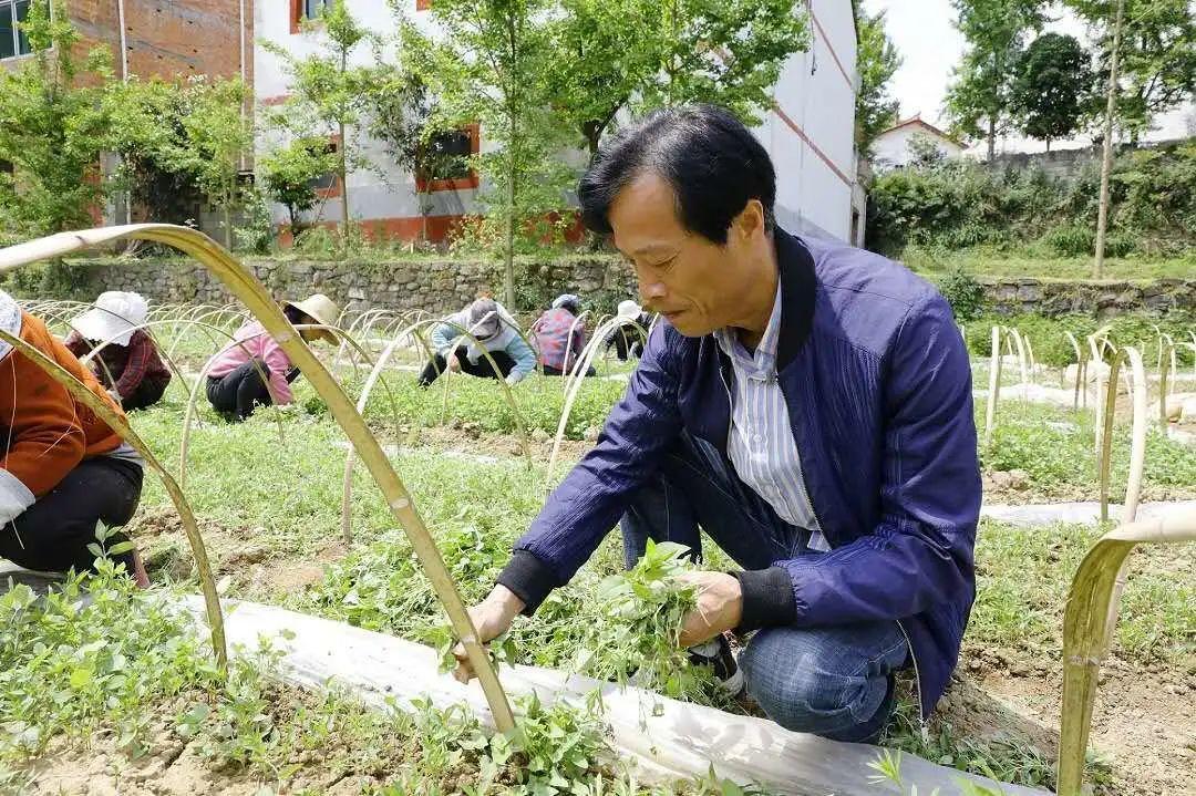 郫县新冠病毒疫情最新情况分析