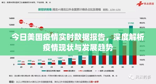 美国疫情最新通报（10日）深度解析