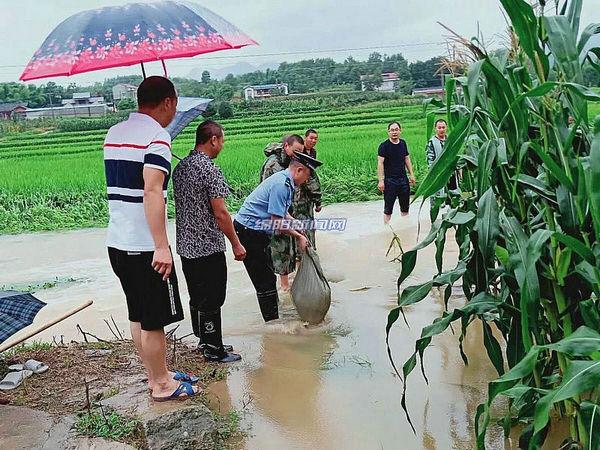 四川江油最新洪水灾害，挑战与应对